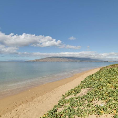 Kihei Haven At Village By The Sea, Steps To Beach! Eksteriør billede