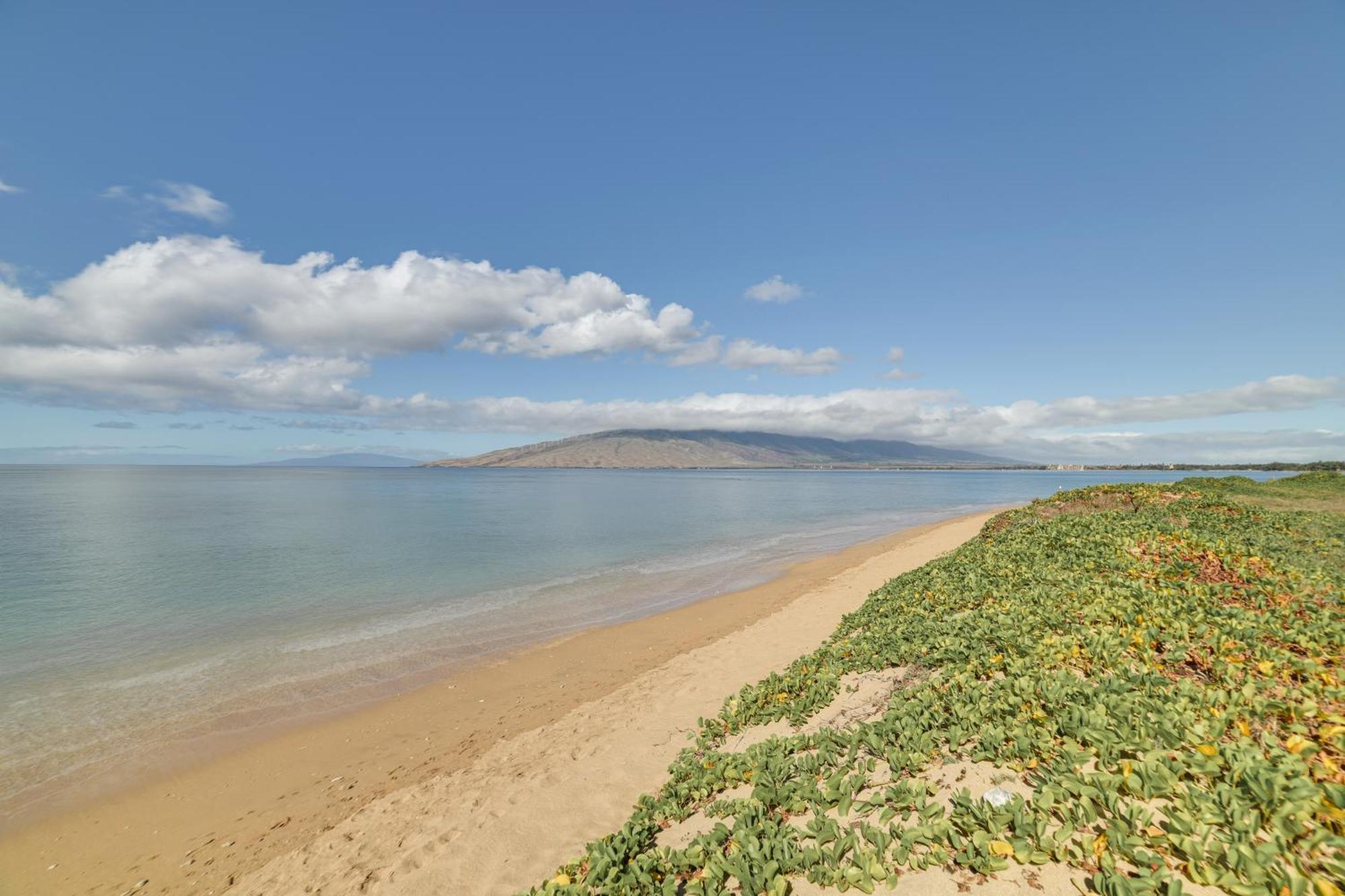 Kihei Haven At Village By The Sea, Steps To Beach! Eksteriør billede